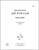 Salt Fork Creek Salt Fork Creek